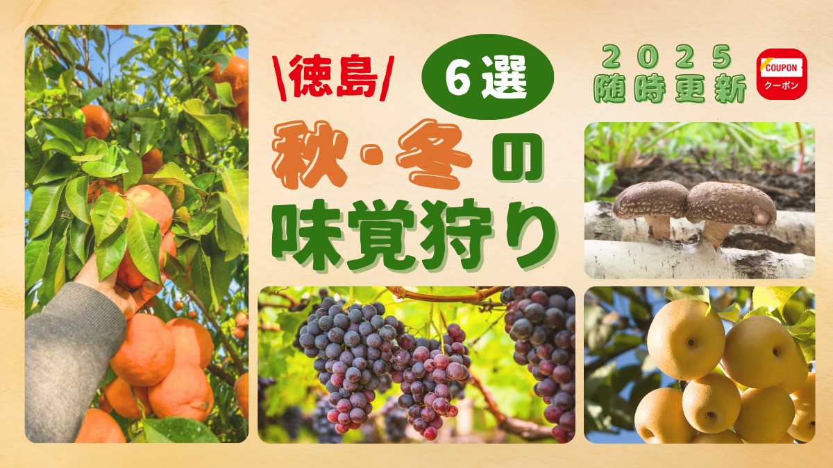 【徳島おでかけ】秋冬の味覚狩り・おすすめ6選/ぶどう狩り/梨狩り/みかん狩り/きのこ狩り|レジャー|体験|2025最新