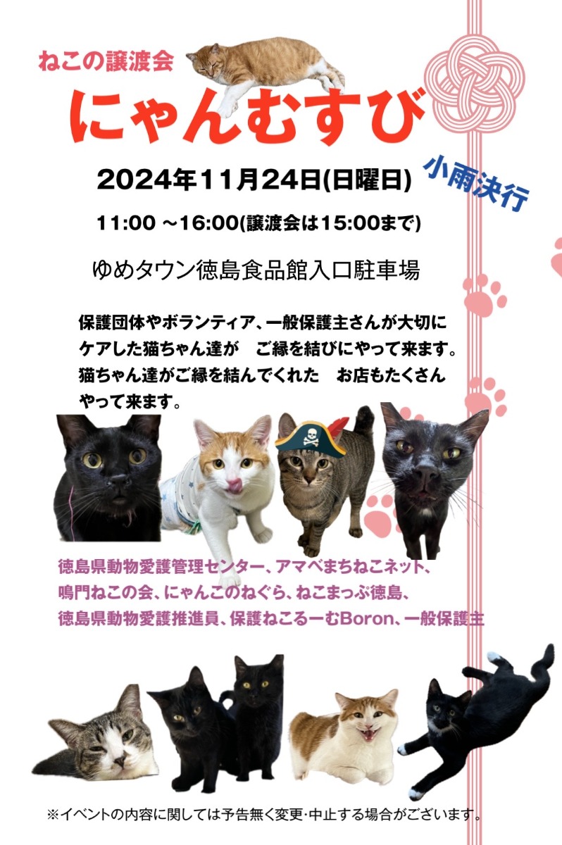 【徳島イベント情報2024】11/24｜にゃんむすび