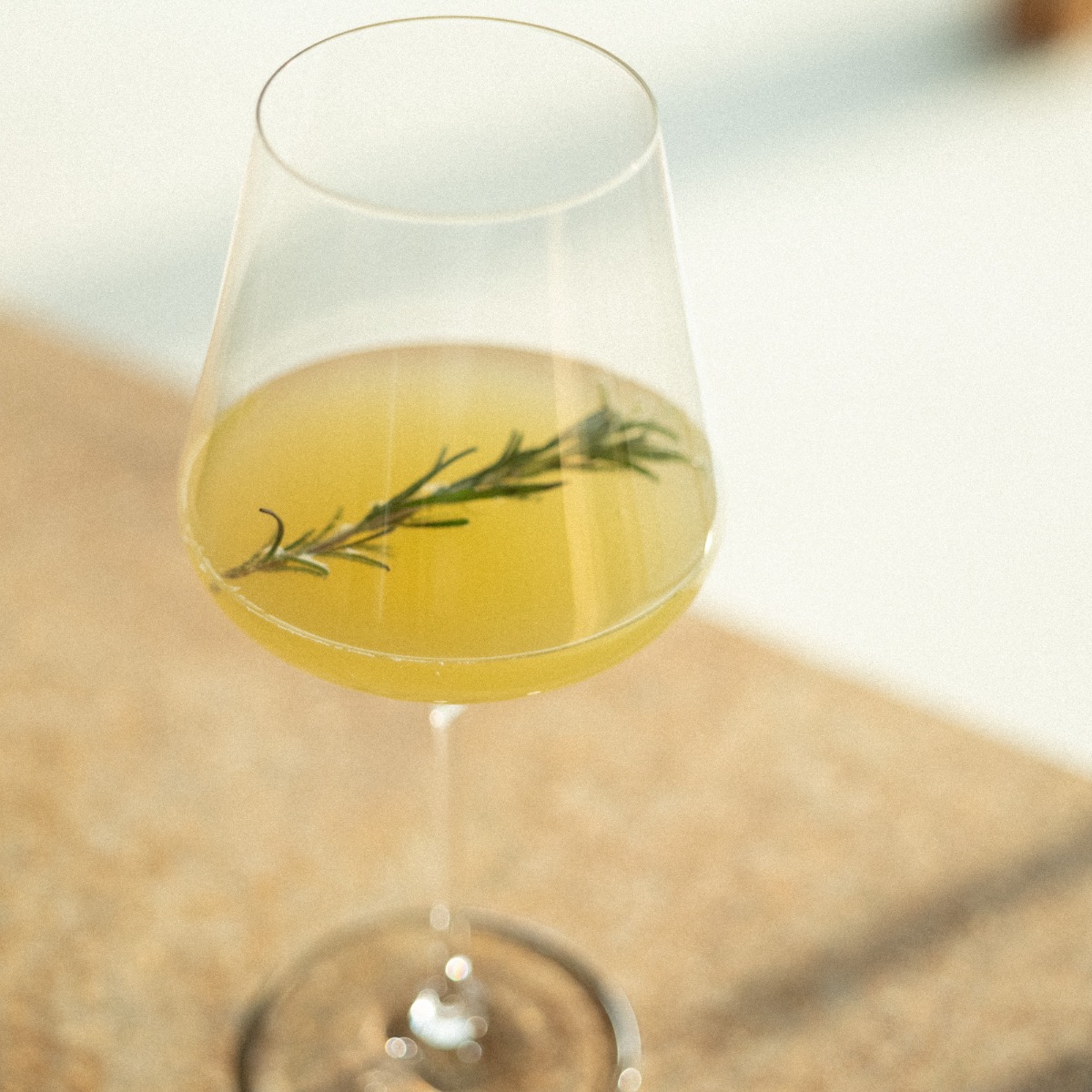 北海道の森を味わうレストラン「MORISHIRO（モリシロ）」が11月21日OPEN