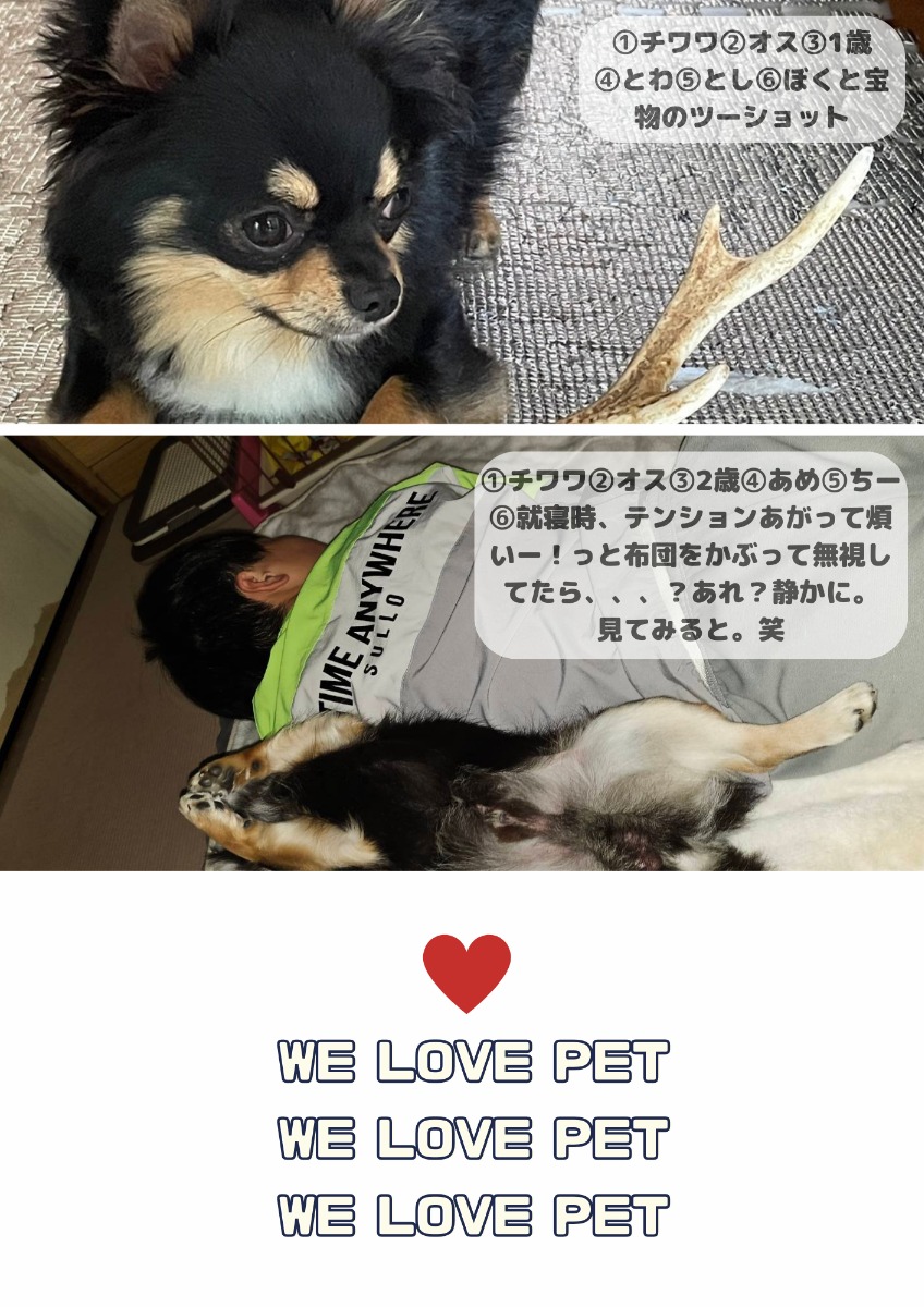 【ペットフォトコンテスト】幸せを呼ぶペットライフ　We LOVE Pet2024年6月版