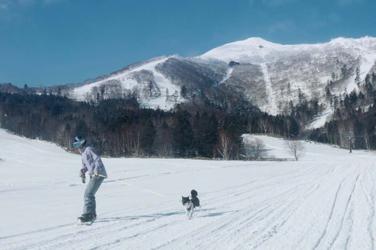 この冬は北海道・トマムで極上のパウダースノーを満喫！