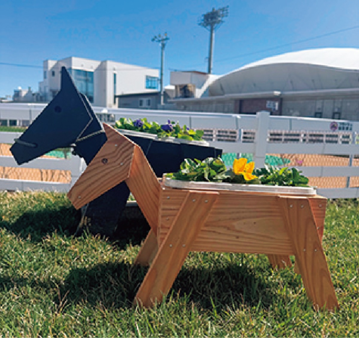 道東・日高エリアガイド[日高エリア]｜日高町　馬産地・門別競馬場と多彩のアクティビティ