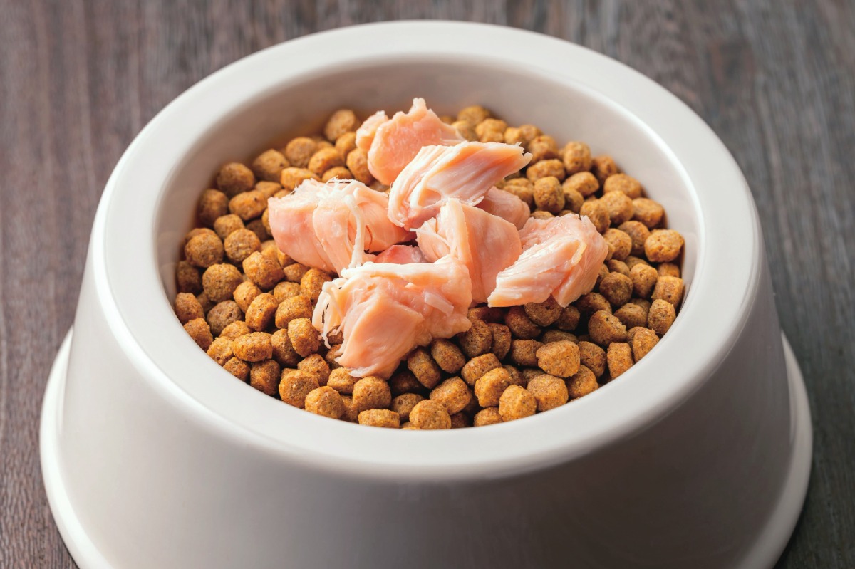 豪華なプレゼントが当たる！？／令和７年度エシカル消費実践キャンペーン企画運営業務 (徳島県)