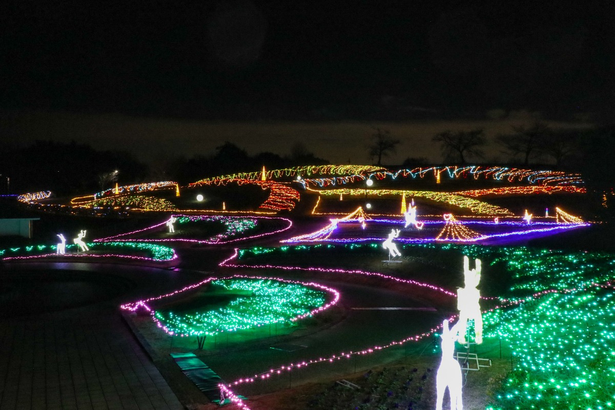 【奈良イルミネーション2023】光の花咲く馬見丘陵公園のクリスマス