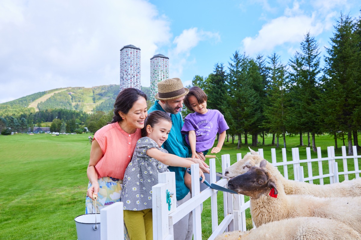 大地を駆ける牛と春のお祝い。トマムで放牧開始