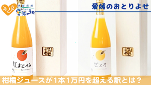 【高級焼酎より高いのには、理由がある！】1本1万円、驚愕の柑橘ジュースでサプライズギフトを！｜愛媛のうた