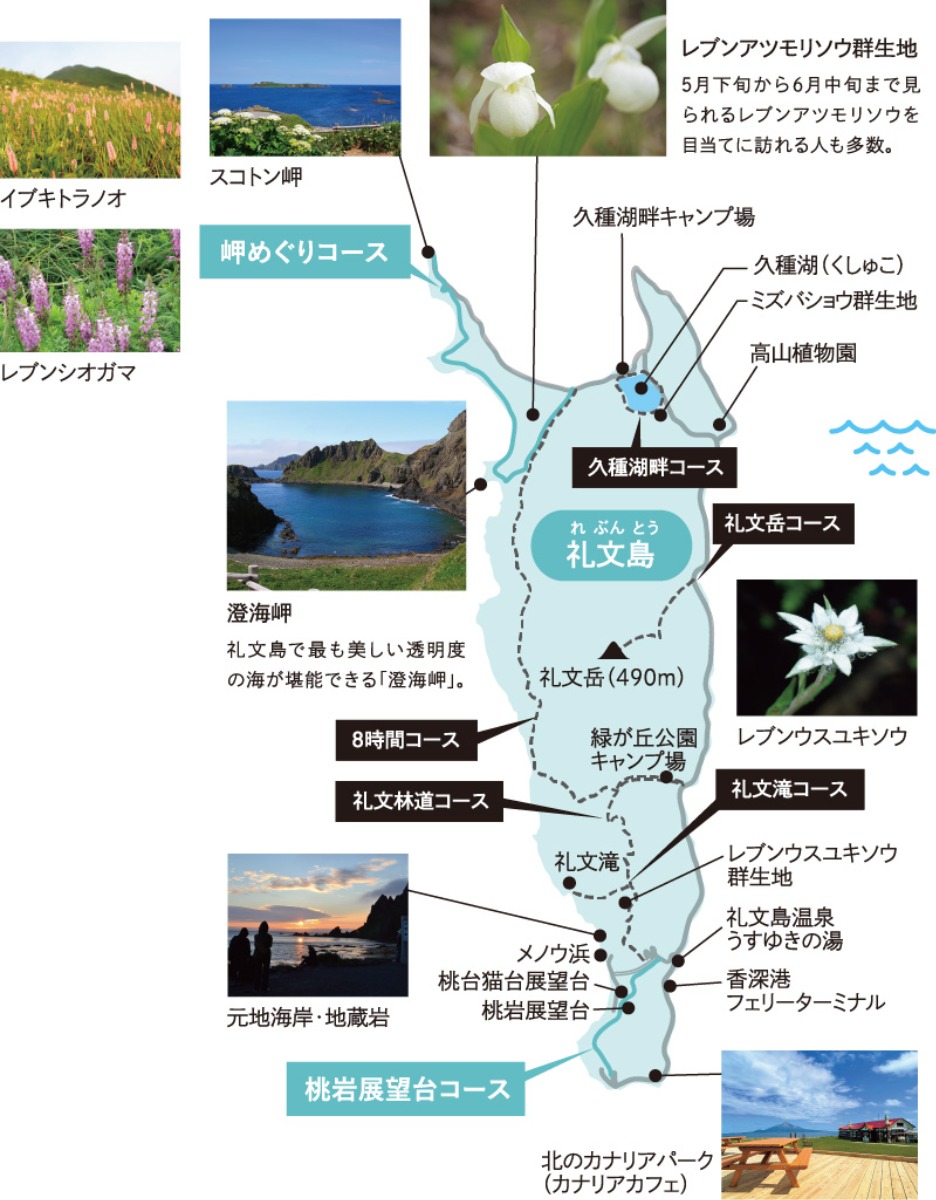 礼文島 ‟花と海の絶景”を楽しむ！ 7つのトレッキングコース