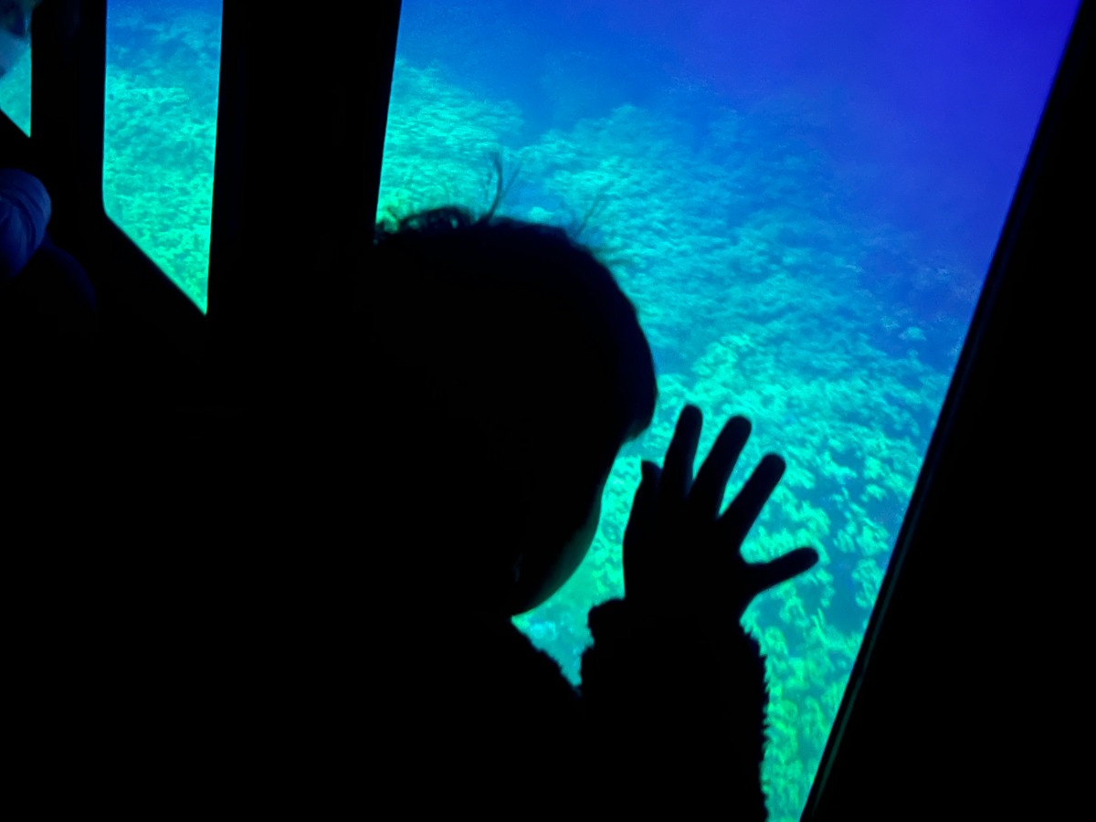 【徳島のおでかけ情報】海中観光船ブルーマリン号の「バレンタインナイトクルーズ2026」ロマンチックな夜の海でステキな思い出を