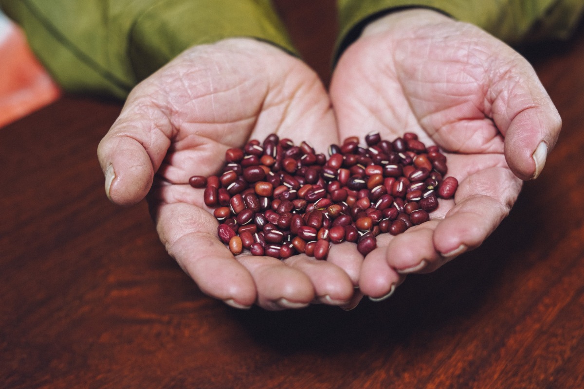 めぐる、2026年春号発売しました