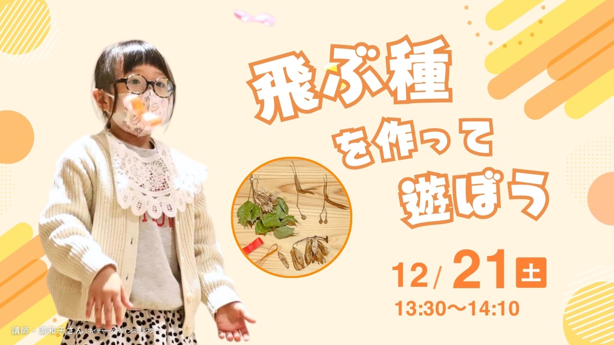 【徳島イベント情報】12/21｜飛ぶ種を作って遊ぼう