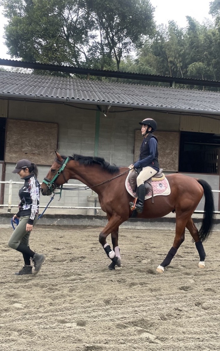 徳島の乗馬体験スポット3選｜おでかけ／体験／レジャー｜那賀町・阿波・小松島市