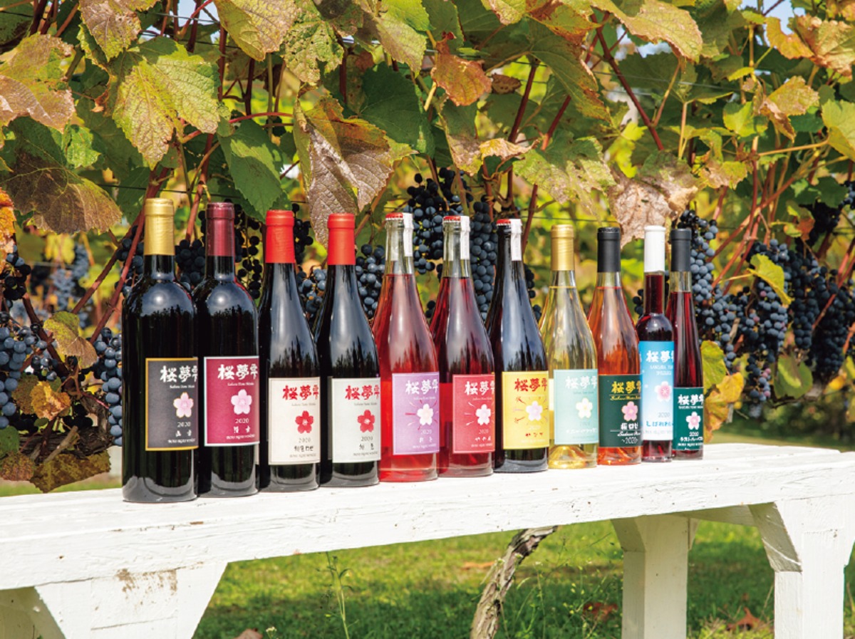 春から夏のオホーツク案内｜北見市　春はツツジ、夏には和ハッカと、 香りと色彩に包まれるまち