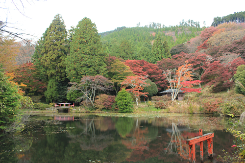 池に映る紅葉が美しい、歴史残る自然公園【紅葉2021／鳥見山公園／宇陀市】