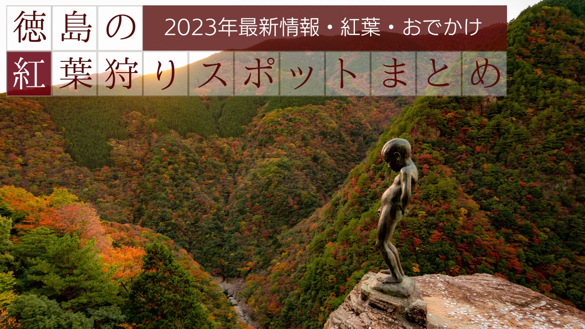 徳島の紅葉スポットまとめ【2023年最新版】お出かけ／ドライブ