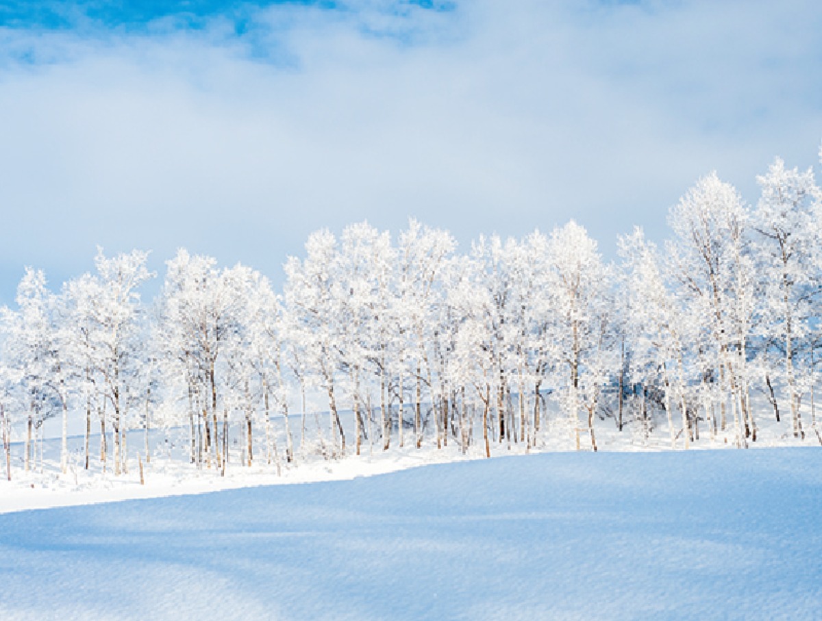 ふるさと納税｜ニセコ町　安心して暮らせる基盤を整備する、 住むことが誇りに思えるまち