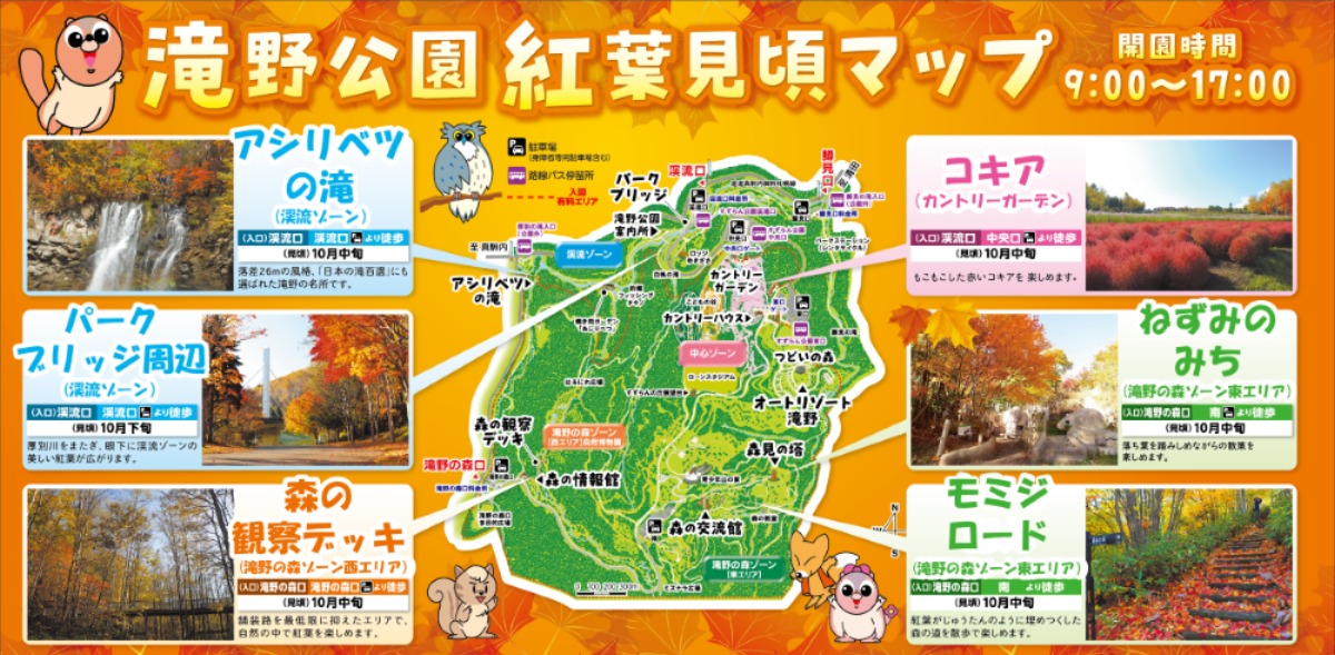  札幌・滝野公園の10月は紅葉が見ごろ！ 12日から「紅葉まつり」開催