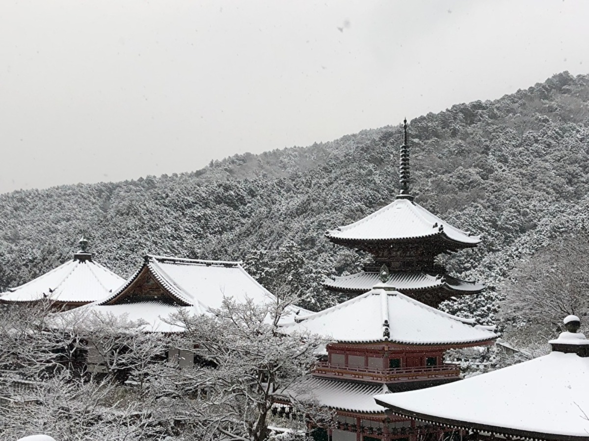 【奈良の初詣2023】初詣は古都・奈良で！奈良の初詣特集