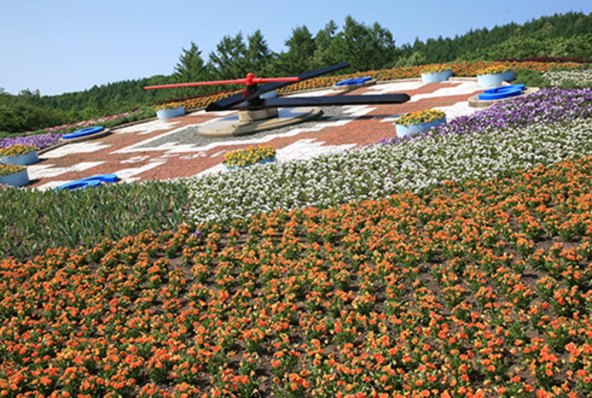 十勝川温泉街を花で彩る「花風景ハナックと花ロード」6月22日より