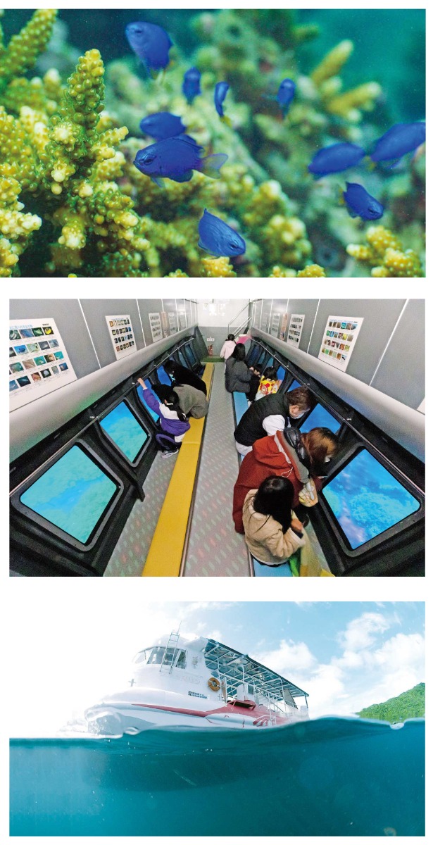 【2025阿波おどり】編集部が推す!徳島の観光スポット