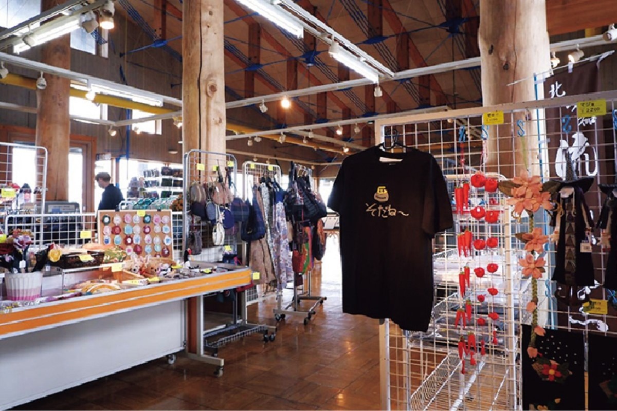 夏の北海道旅|日本最大の海岸草原「ワッカ原生花園」で花と自然を満喫