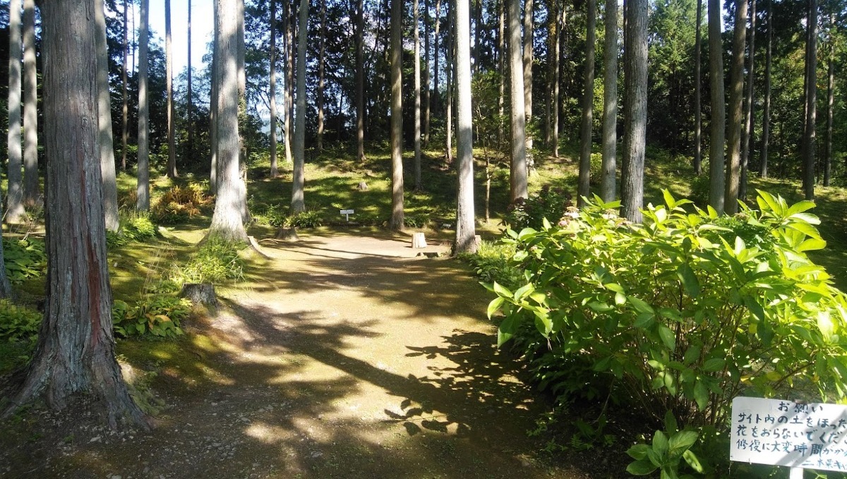 徳島のおすすめキャンプ場まとめ2025 ～価格・設備・タイプ別で比較に便利！～【随時更新】