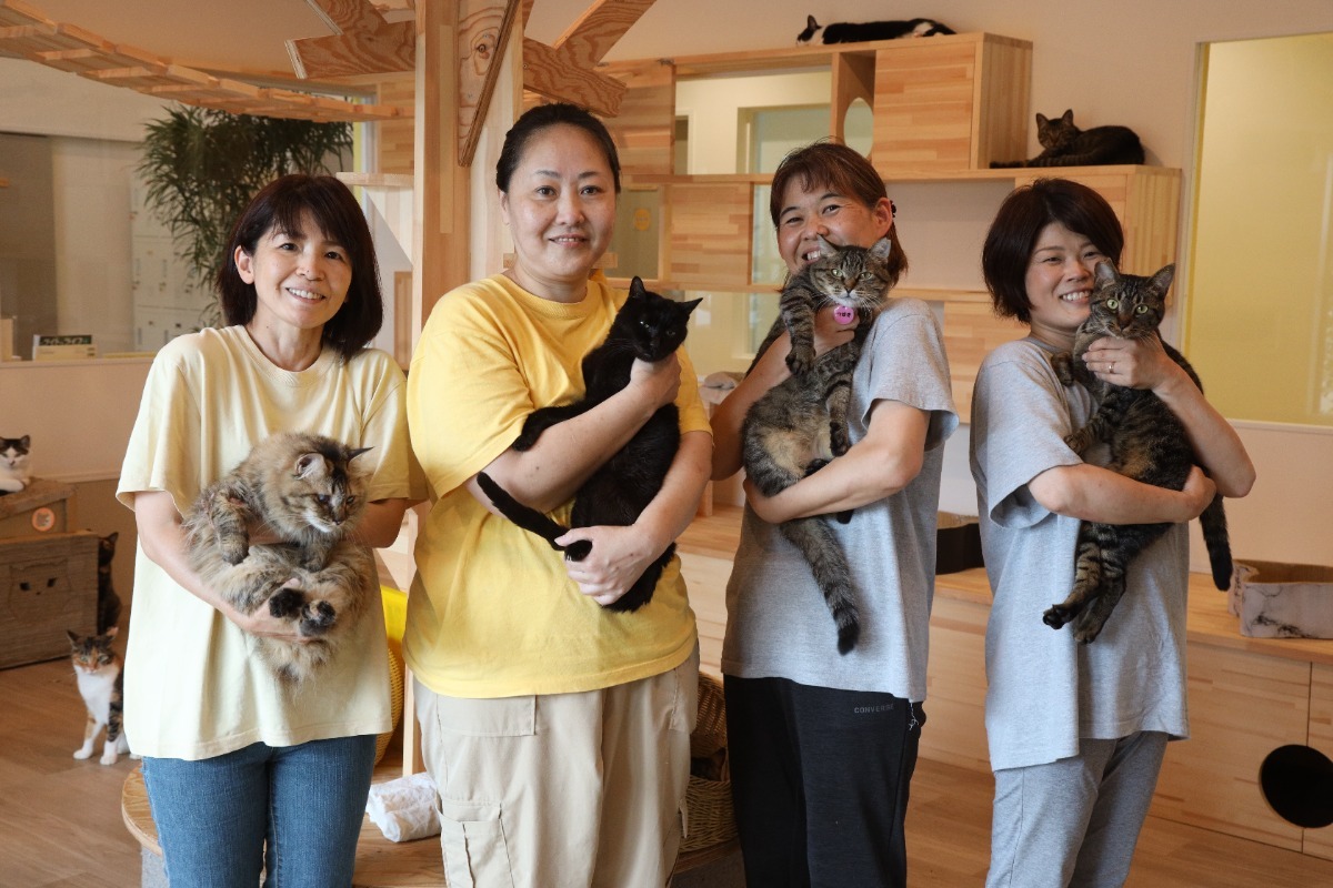 【徳島市｜吉野川市】徳島で猫と触れ合える施設3選！癒されたい日は猫ちゃんと遊んで充電しよう