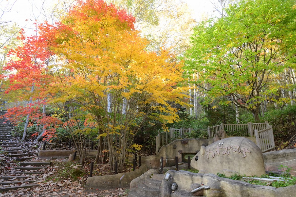 紅葉が見頃!札幌・滝野すずらん丘陵公園『たきの紅葉まつり』10/26(日)まで開催中!