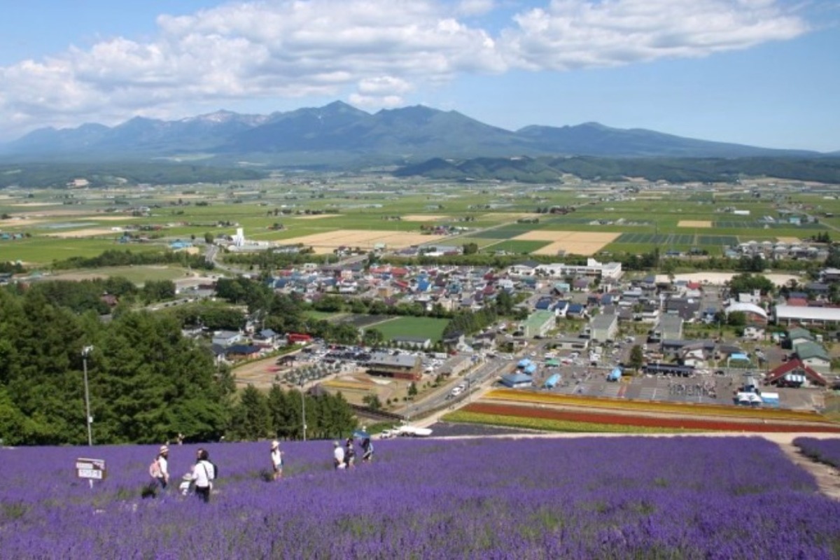 ラベンダー畑と札幌市街を見渡せる絶景「幌見峠ラベンダー園」へ