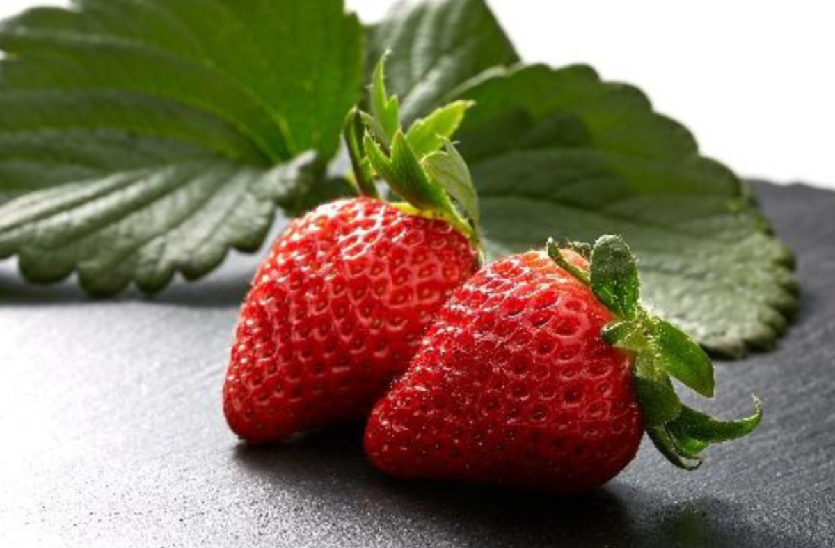 札幌市役所＆チ・カ・ホで味わう、茨城のいちごと干し芋