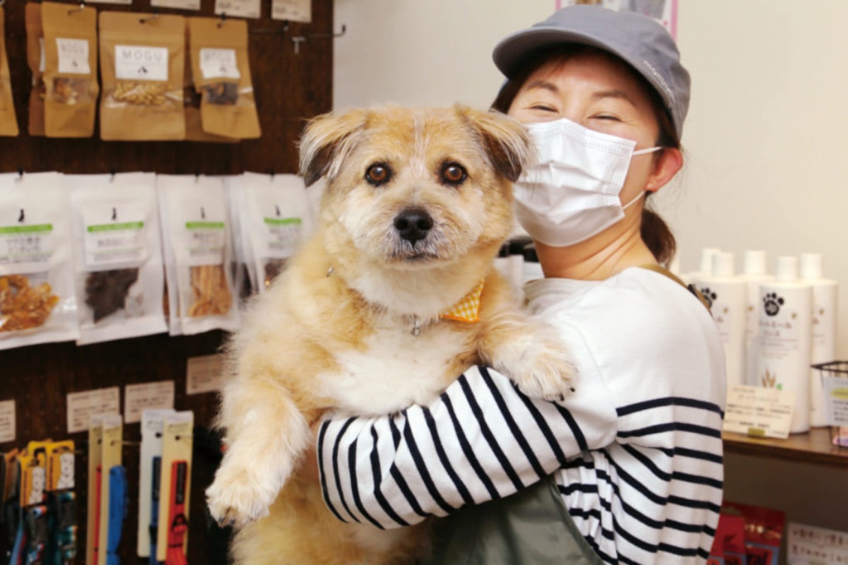 【2021.5月OPEN】Dog salon Picnic（ピクニック／徳島市新浜本町）犬好きさん注目の犬雑貨は「うちの子」オリジナルオーダーもOK