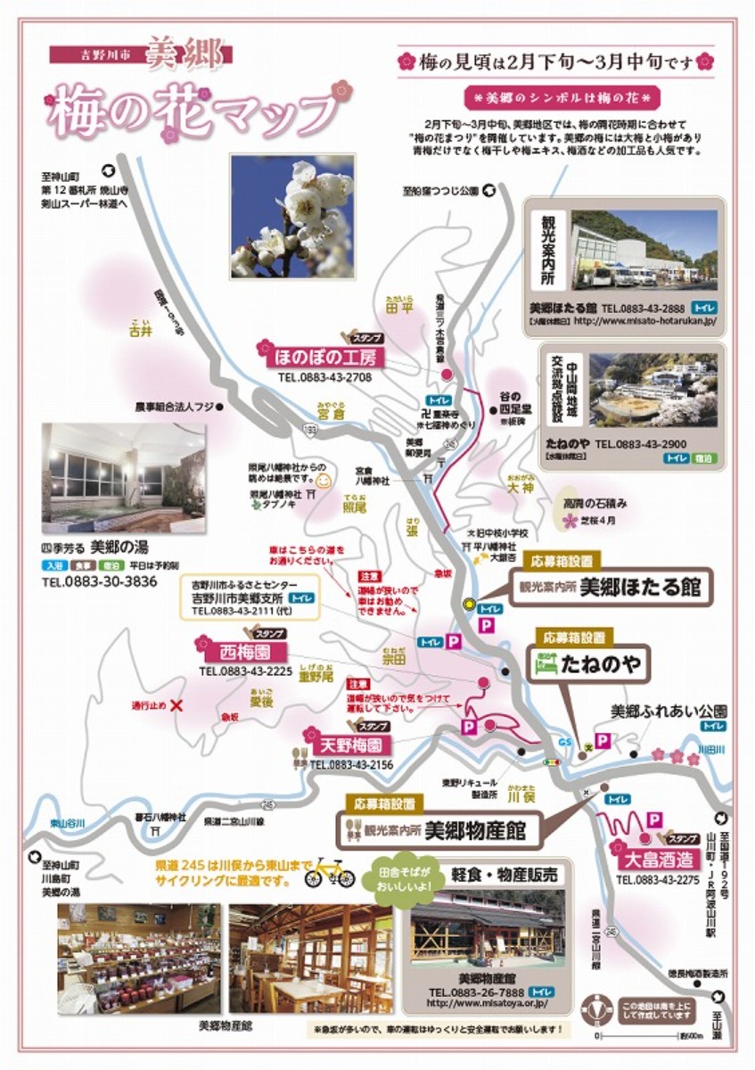 【徳島イベント情報2026】2/21～3/8｜美郷梅の花