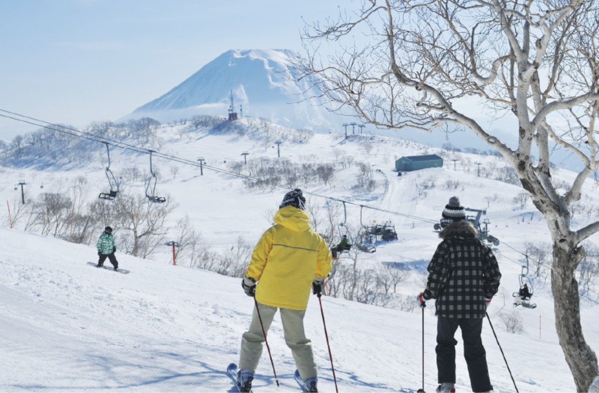 ふるさと納税｜ニセコ町　羊蹄山など山岳、自然豊かな観光リゾート地