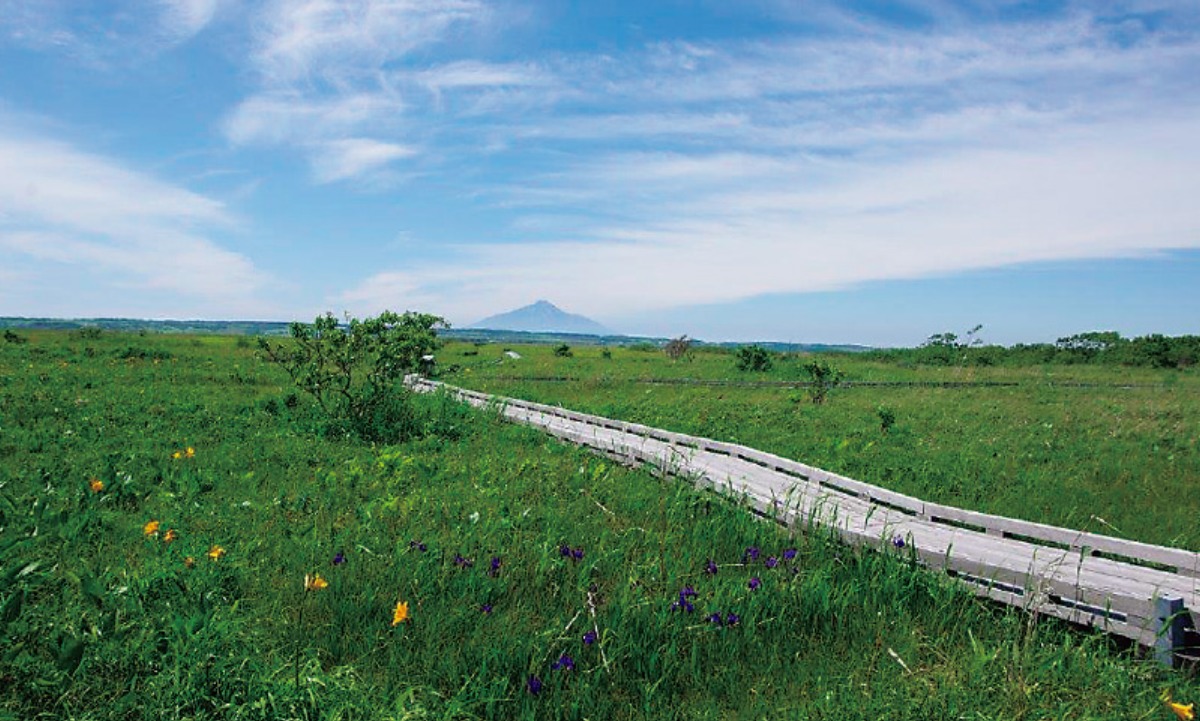 夏の北海道を体感｜豊富町　最北の温泉郷・豊富温泉や豊富牛乳が有名！