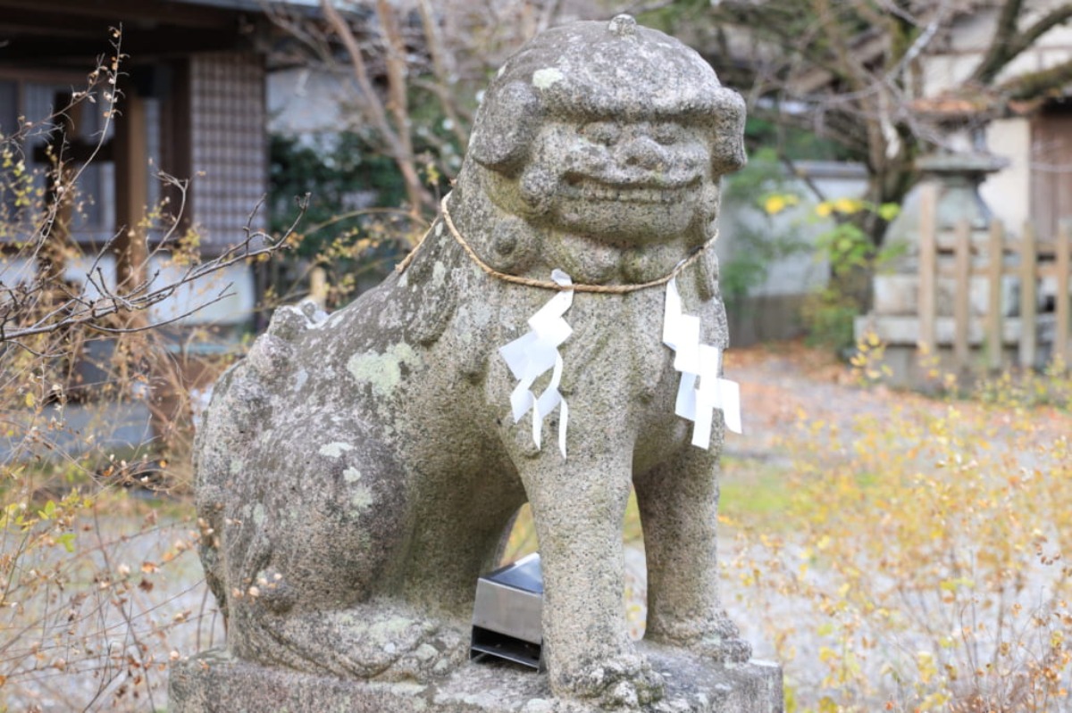 《徳島探訪》とくしま狛犬列伝  新春狛犬めぐり編
