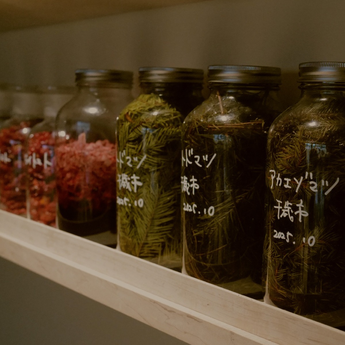 北海道の森を味わうレストラン「MORISHIRO（モリシロ）」が11月21日OPEN