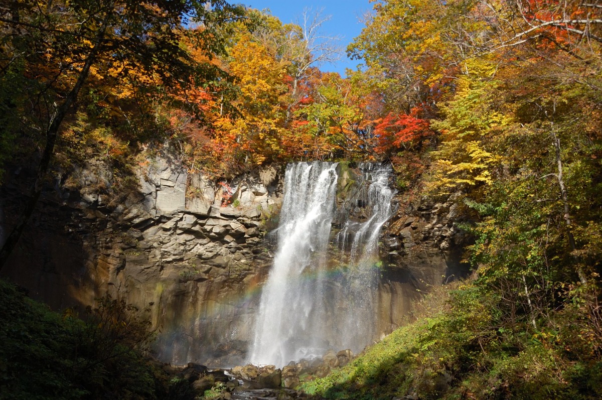  札幌・滝野公園の10月は紅葉が見ごろ！ 12日から「紅葉まつり」開催