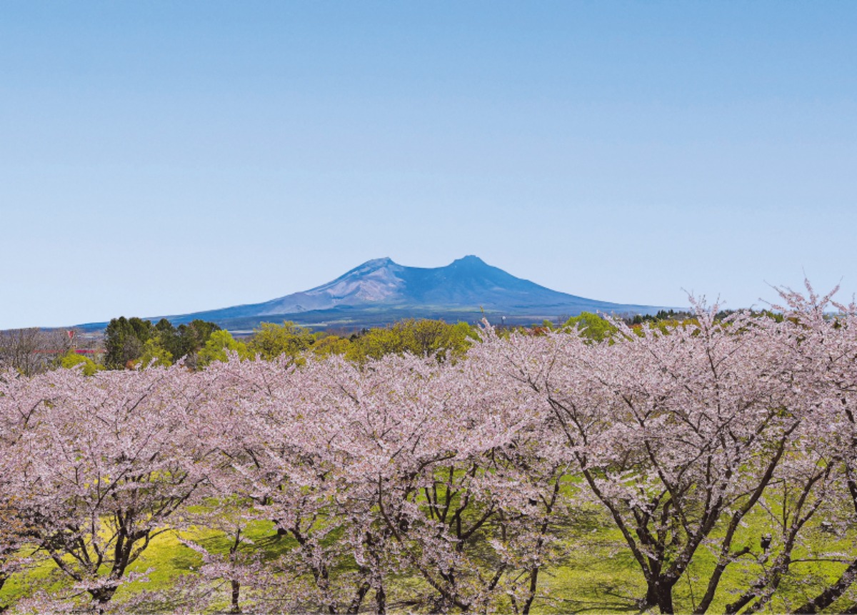 北海道移住|いかめし発祥の森町、若者と子育てを応援!