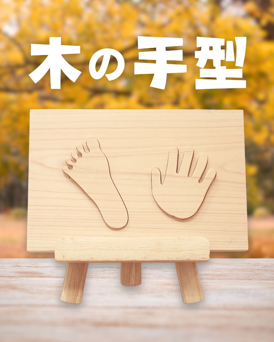 【徳島イベント情報】徳島木のおもちゃ美術館【11月】