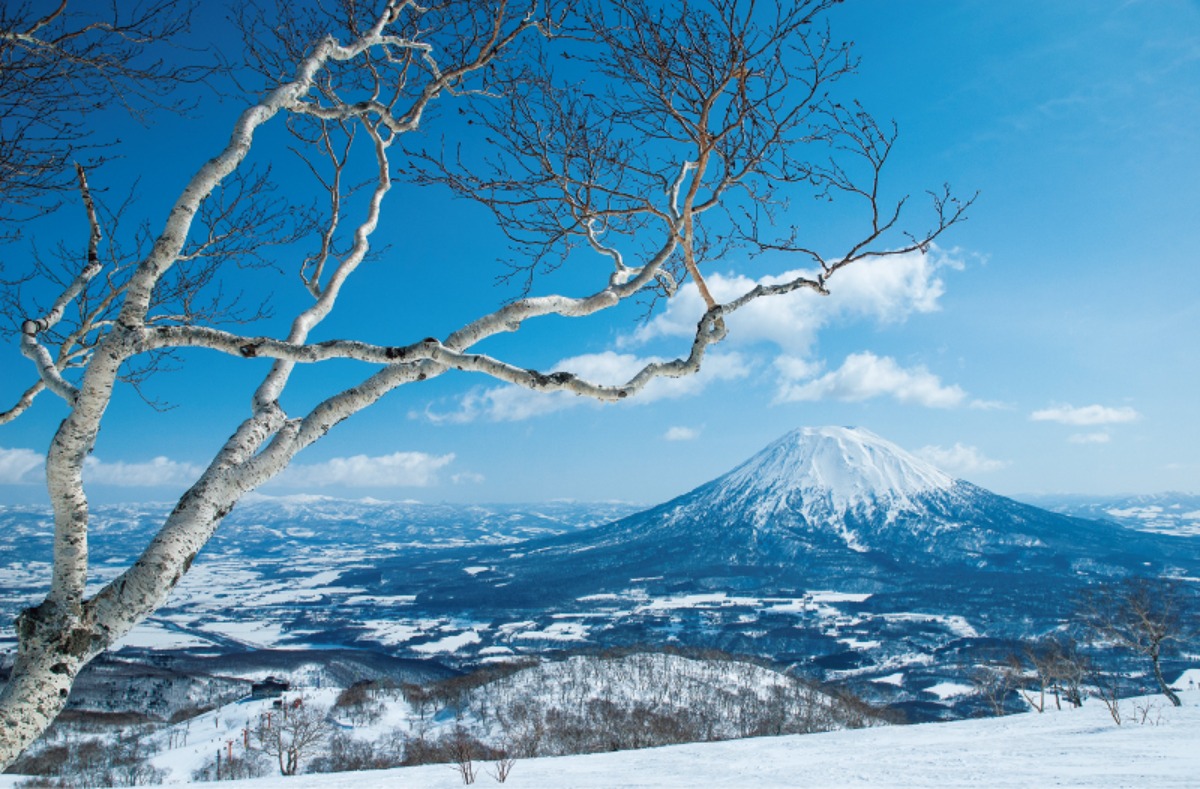 ふるさと納税｜ニセコ町　安心して暮らせる基盤を整備する、 住むことが誇りに思えるまち