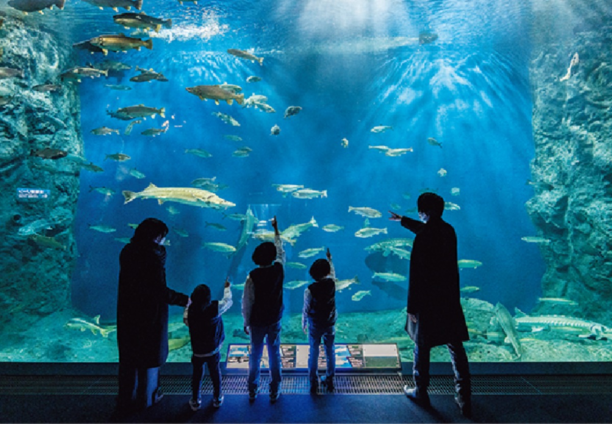 北海道移住案内2026・春｜千歳市　空港と名水、半導体で未来を拓くまち