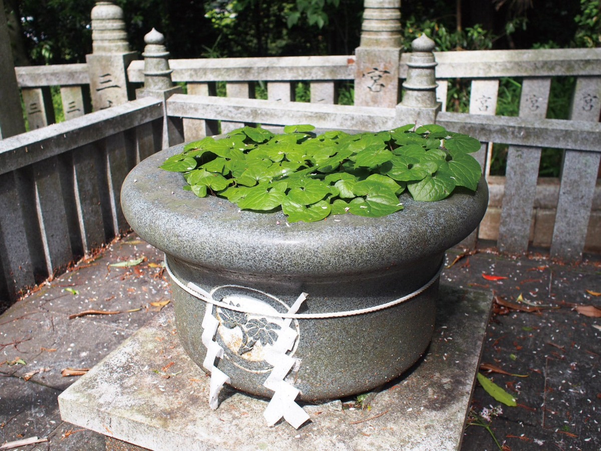 邪馬台国は阿波だった!?シーズン2【古代史を通して徳島の魅力を再発見】11話目／「加茂氏」と阿波の関係