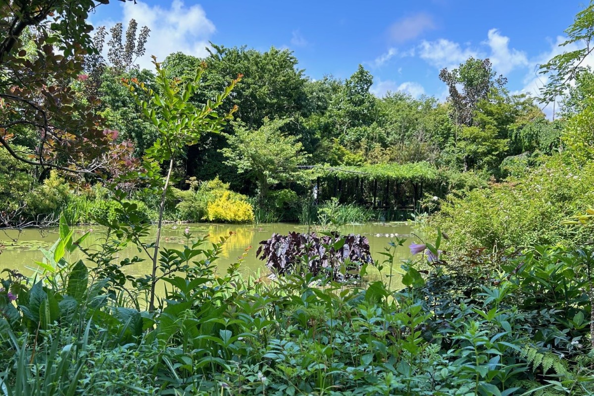 北海道の庭｜今週の花　浜名湖花博で出会ったガーデン風景