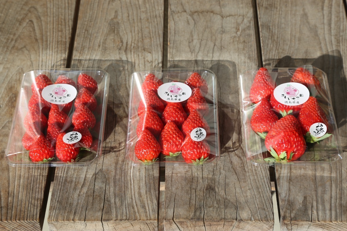 【2026最新版】徳島いちご狩りスポット・おすすめ14選！家族のおでかけ＆レジャーにぴったり