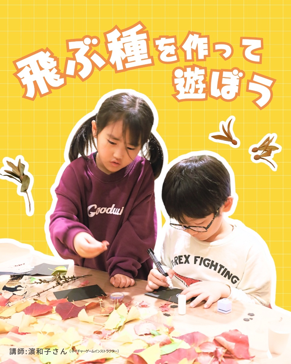 【徳島イベント情報】徳島木のおもちゃ美術館【11月】