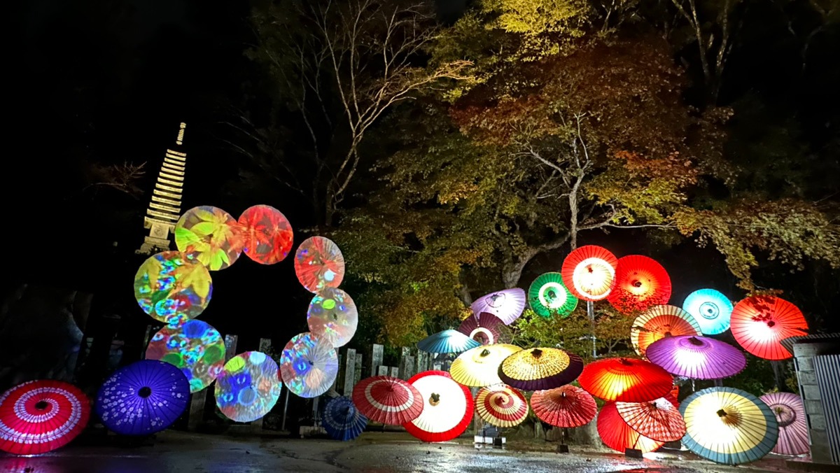 【紅葉ライトアップ】もみじ回廊　奈良県岡寺で日本最大規模の鮮やかな和傘