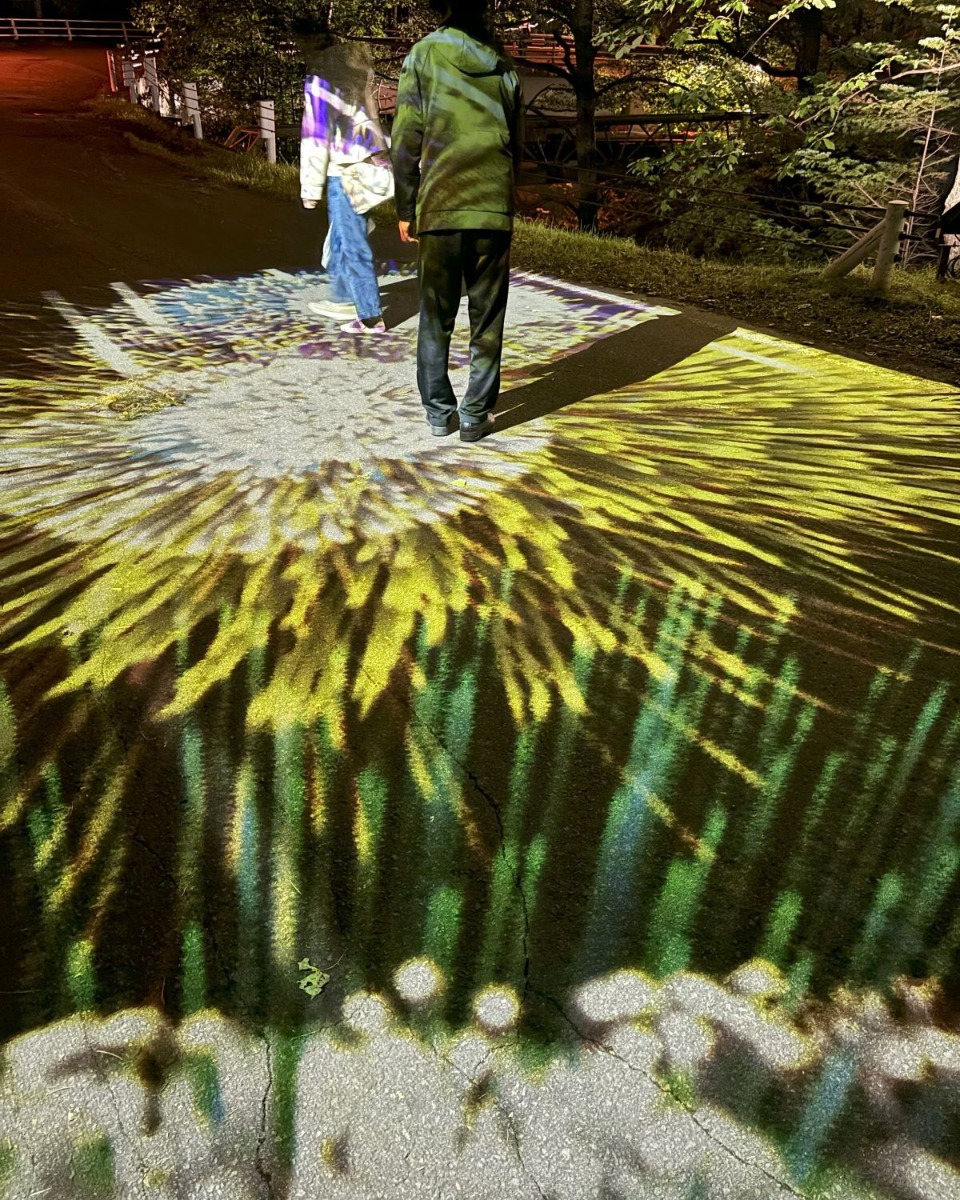 層雲峡の夜、紅葉と光のコラボ！幻想的な空間を体感してきた