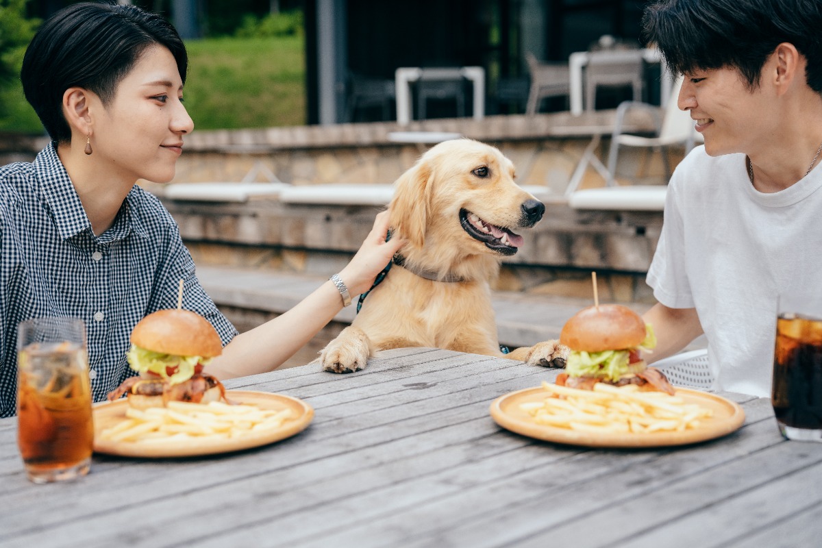 愛犬と楽しむ、星野リゾート北海道旅 vol.1