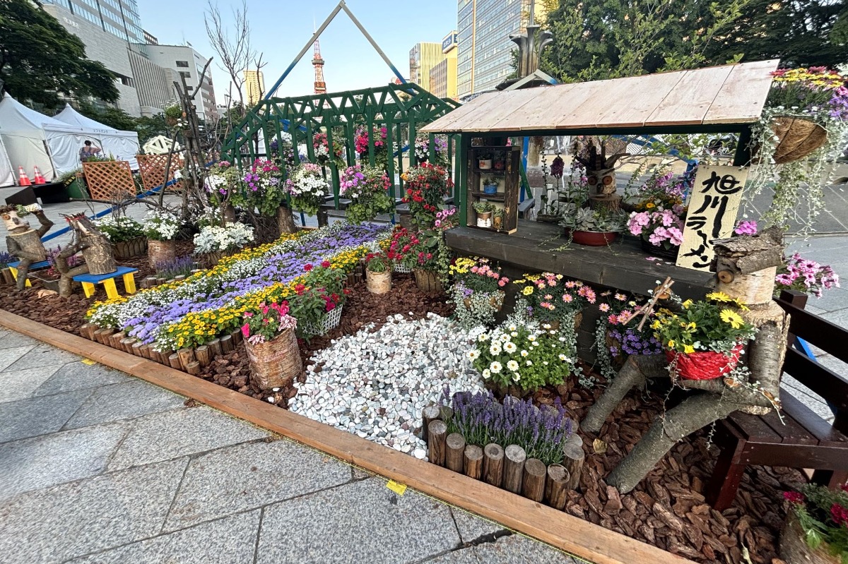 札幌・大通公園の「花フェスタ2025」へ。6月29日まで開催中!