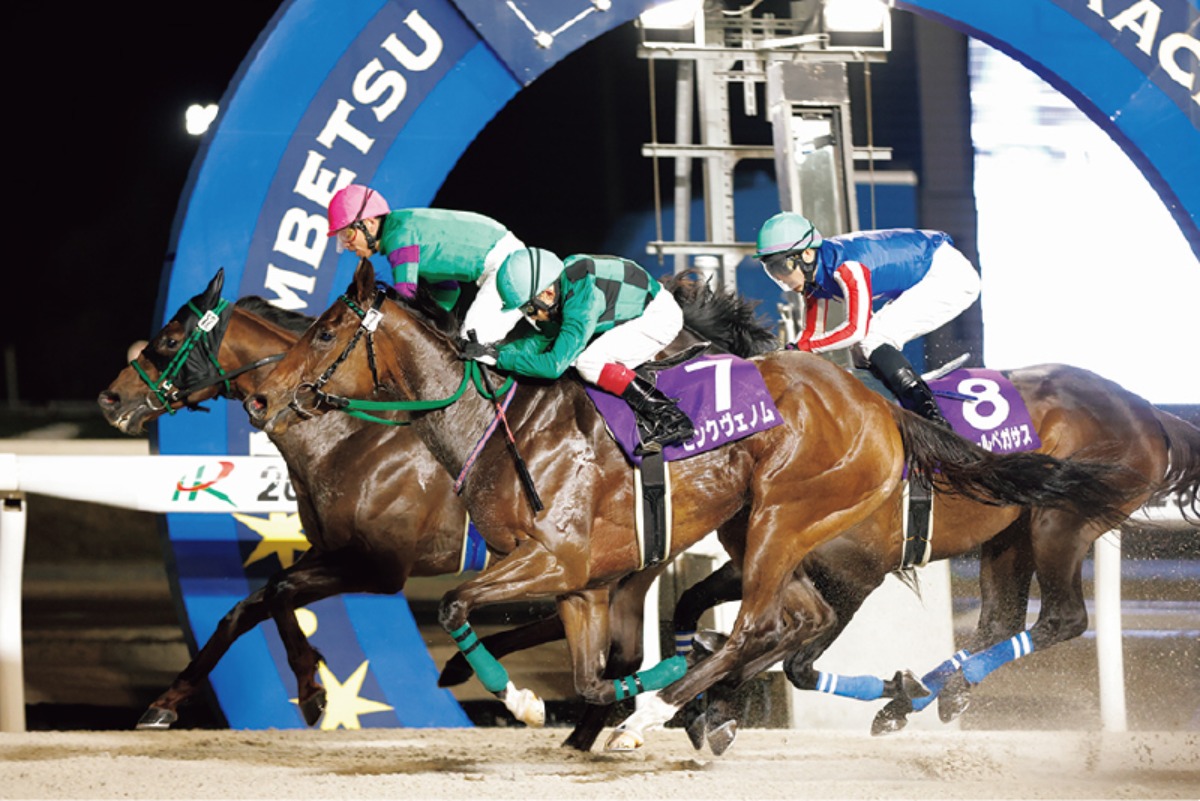 道東・日高エリアガイド[日高エリア]｜日高町　馬産地・門別競馬場と多彩のアクティビティ