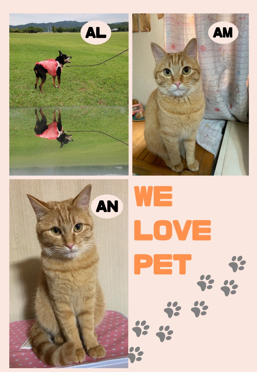 【ペットフォトコンテスト】幸せを呼ぶペットライフ　We LOVE Pet2023年1月版幸せを呼ぶペットライフ　We LOVE Pet2023年1月版